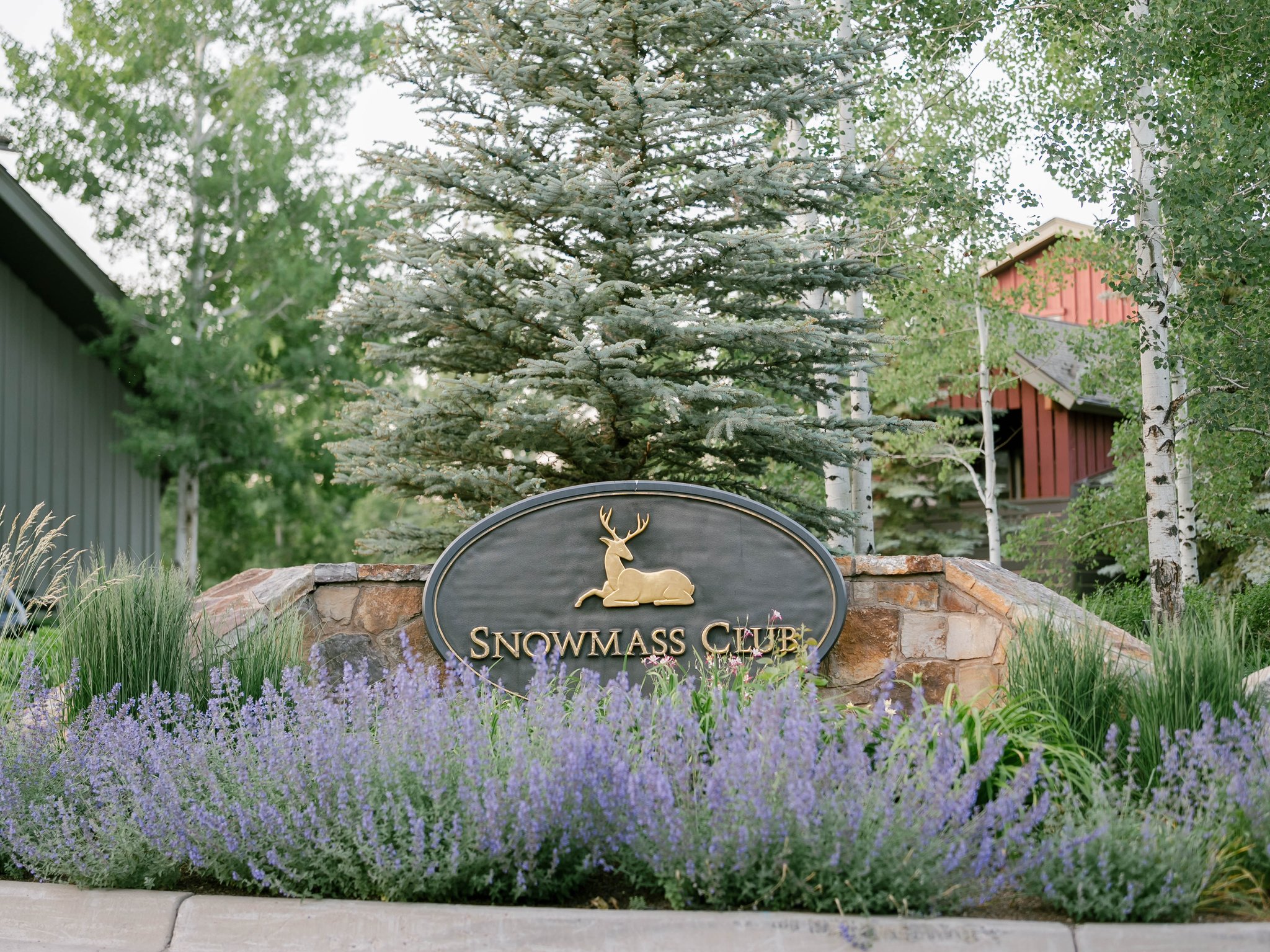 Wedding reception at Snowmass Club